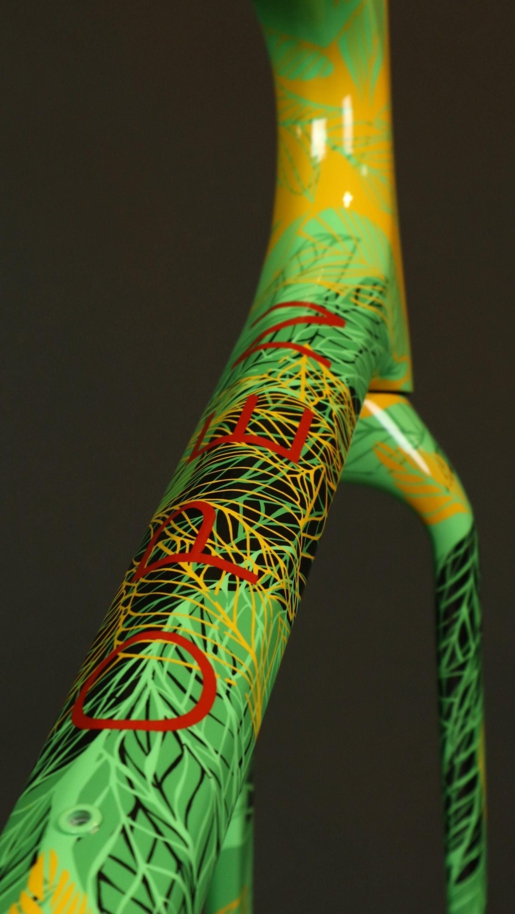 Ramy i rowery pomalowane przez Velove